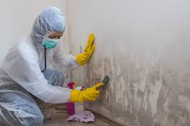 East Ridge, TN Mold Removal & Remediation Company